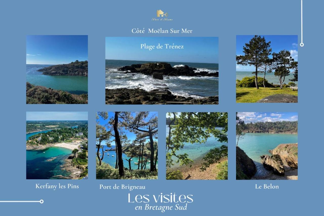 Le Tiguidou, Cosy, Lumineux, 2-6 Pers, Plage 300M Moëlan-sur-Mer Екстериор снимка